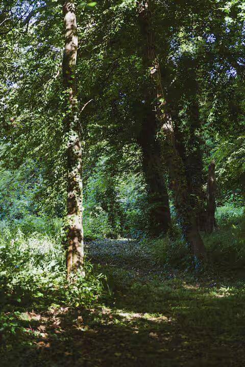 Gîte pour 2 personnes, avec vue et jardin à Saint-Lubin-des-Joncherets - 4