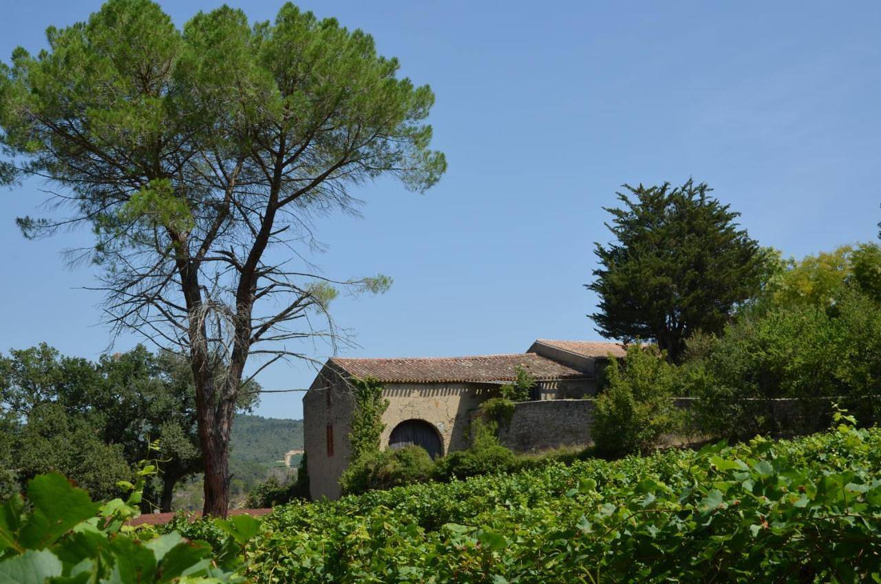 Holiday Home in Saint-Polycarpe, Région de Limoux