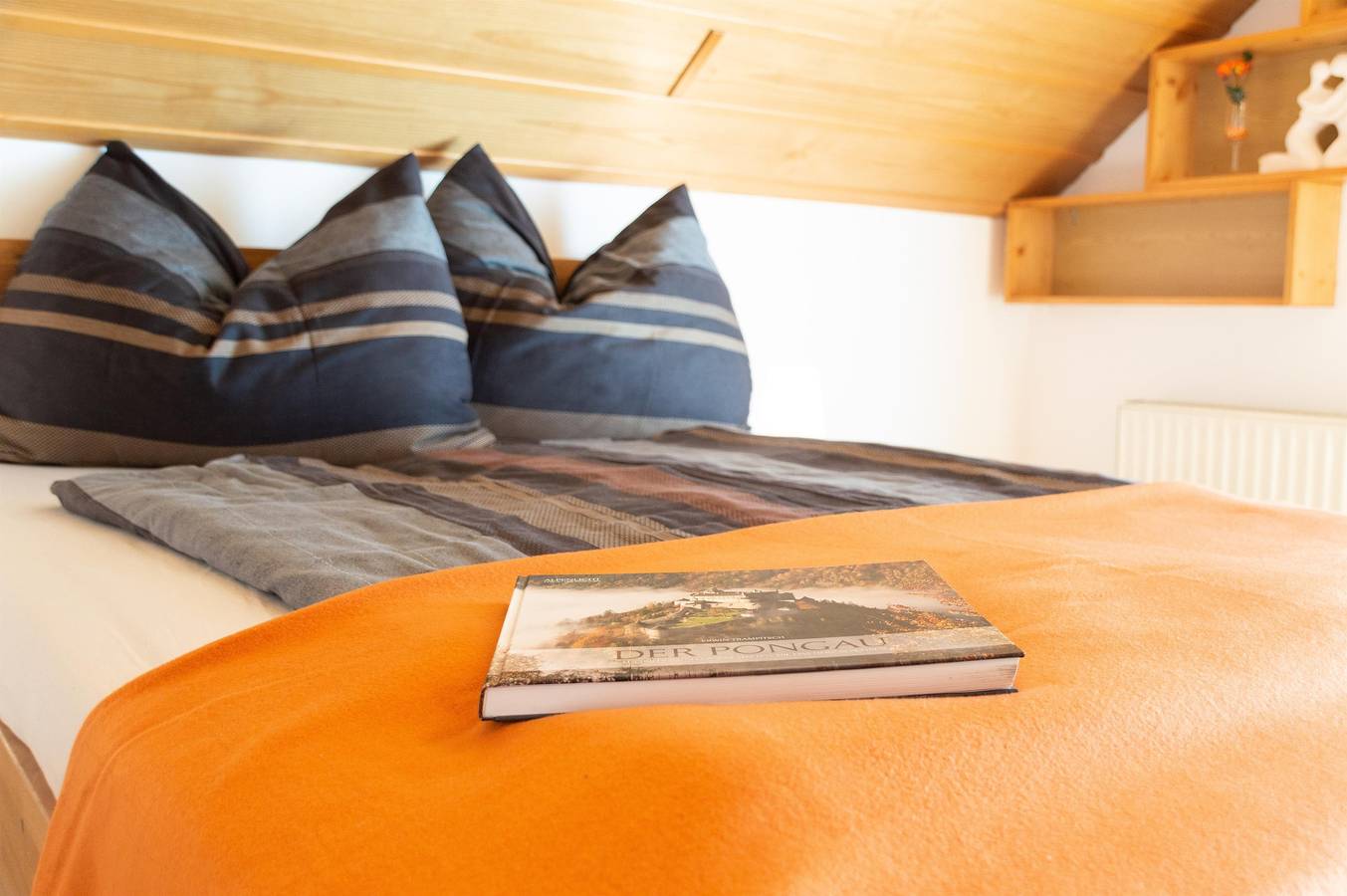 Ferienhaus Heidi in Dorfgastein, Ski Amadé