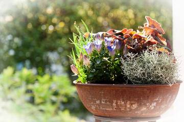 Ferienwohnung für 4 Personen in Bad Reichenhall, Bayerische Alpen, Bild 1