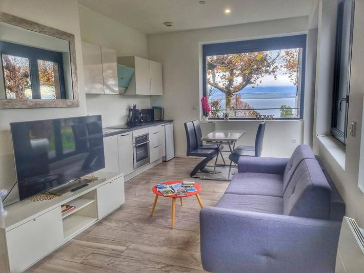 Gîte pour 4 personnes, avec jardin ainsi que vue et vue sur le lac à Thonon-les-Bains - 3