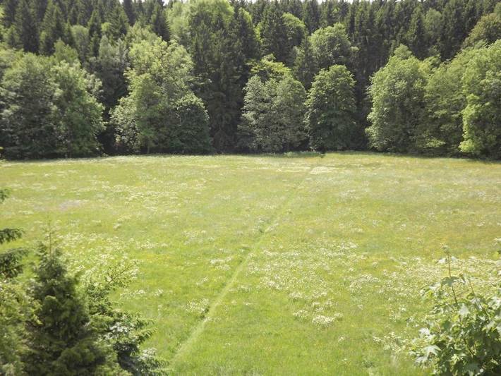 BnB für 2 Personen, mit Ausblick und Garten im Harz - 4
