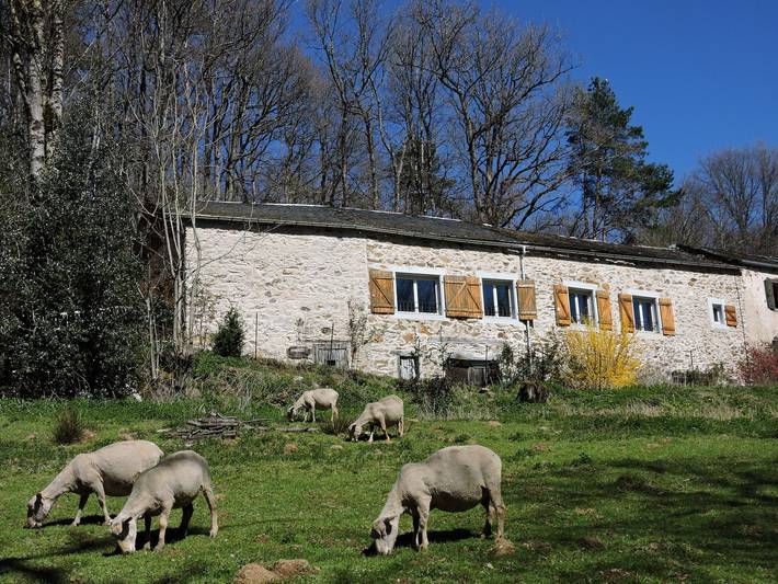 Gîte pour 8 personnes dans le Tarn - 2