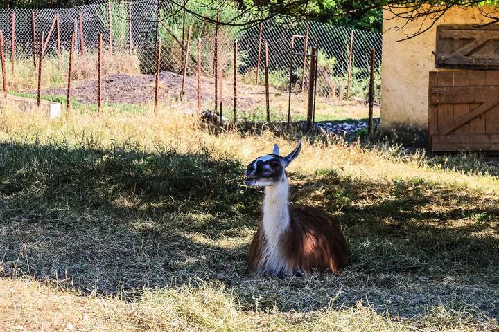 Gîte pour 2 personnes, avec vue et jardin à Le Barroux - 4