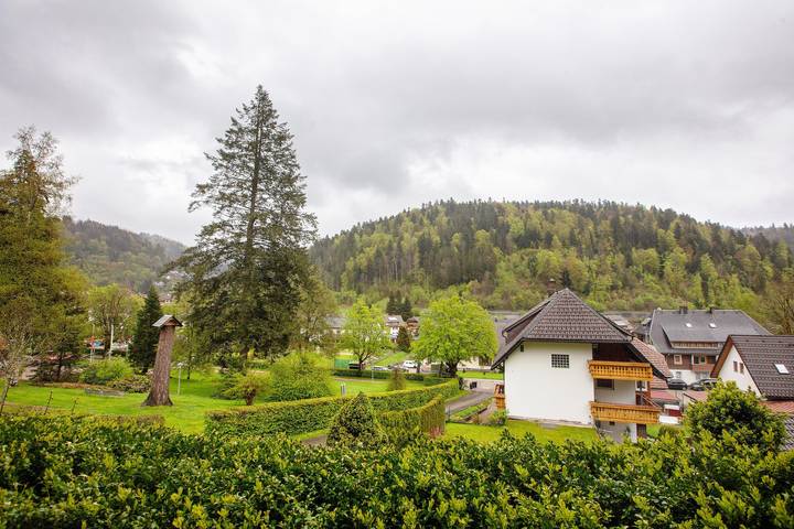 Ferienwohnung für 3 Personen, mit Garten in Todtmoos - 4