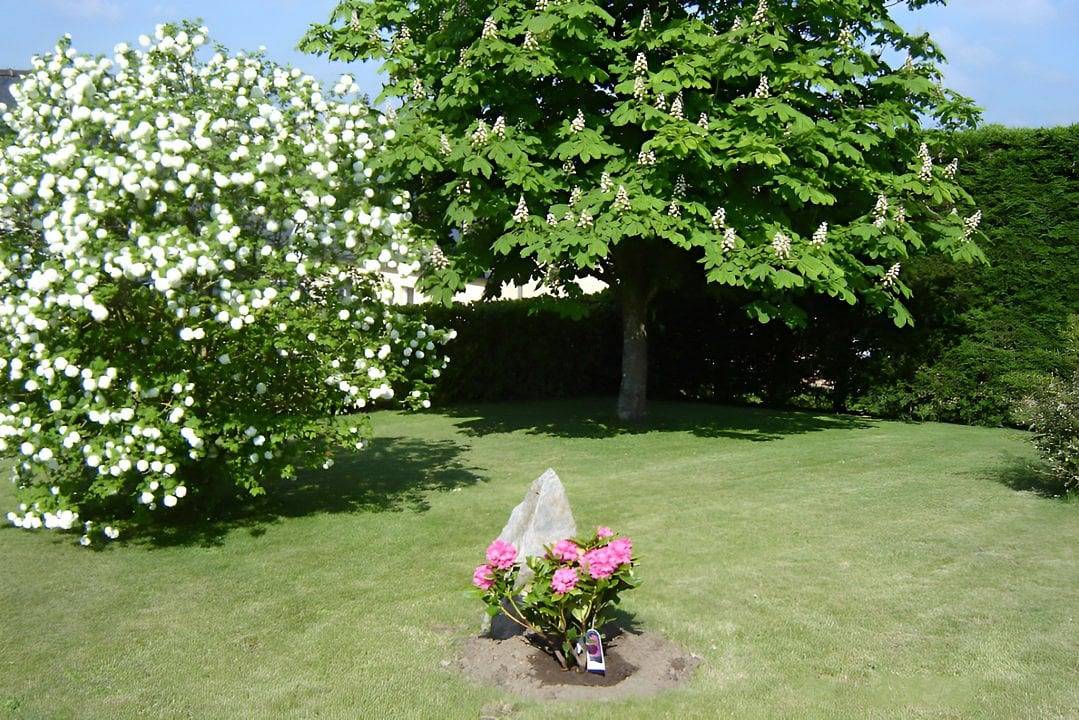 Chambres d'hôtes du Montafilan - Chambre Jade in Créhen, Région de Dinan