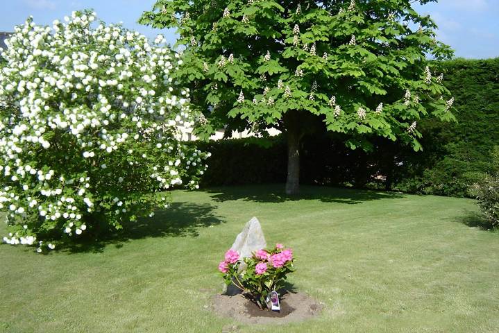 Chambre d’hôte pour 2 personnes, avec jardin en Cotes-d'Armor - 4