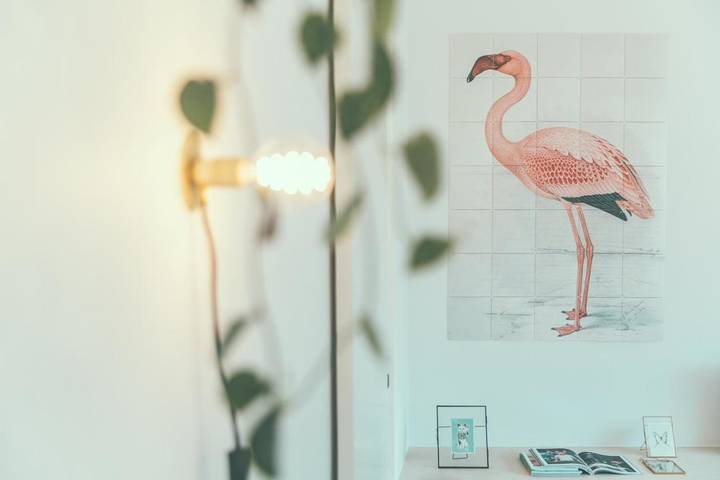 Gîte pour 3 personnes, avec vue à Alost - 4