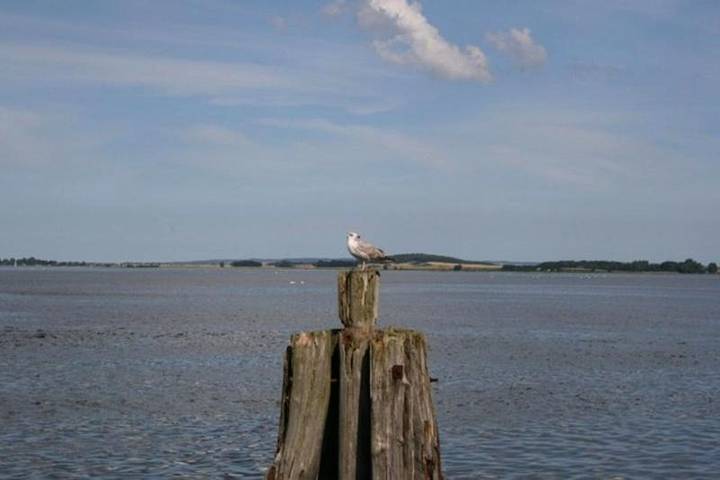 Ferienwohnung für 4 Personen in Gingst - 2