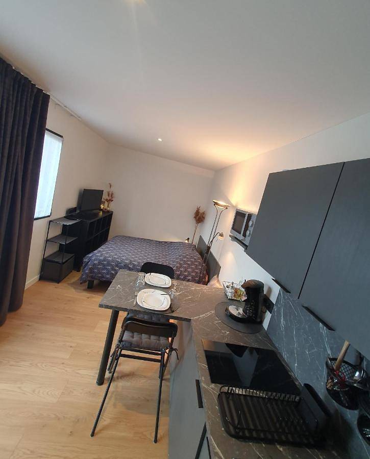 Appartement entier, Studio Les Deux Grenouilles 5mn de Colmar in Herrlisheim-près-Colmar, Région de Colmar