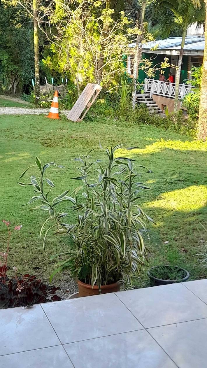 Location de vacances pour 3 personnes, avec jardin à Petit-Bourg - 3