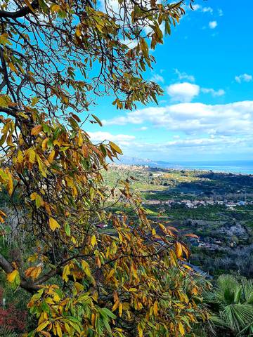 Agriturismo voor 12 Personen in Giarre, Etnapark, Afbeelding 2