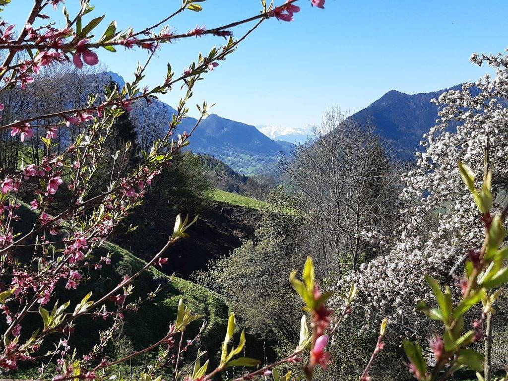 L'Échappée Belle - Suite Mésange in Doucy-en-Bauges, Région de Chambéry
