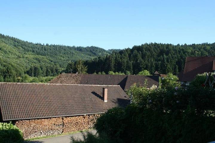 Gîte pour 2 personnes, avec vue ainsi que sauna et jardin à Gengenbach - 2