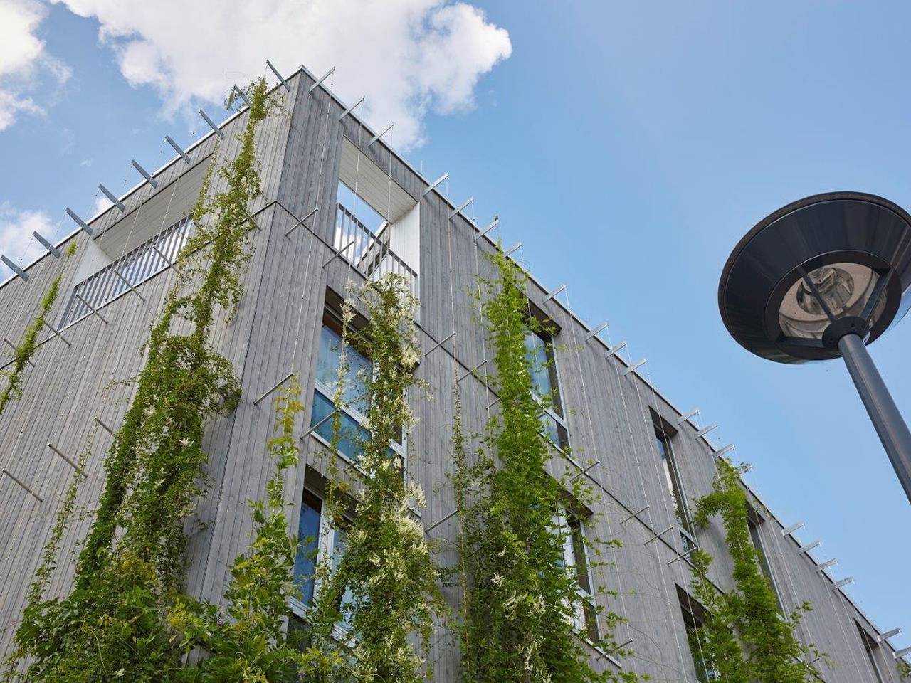Green City Hotel Vauban - Kopie von Doppelzimmer mit Balkon, Dusche und Wc in Freiburg, Forêt-Noire du Sud