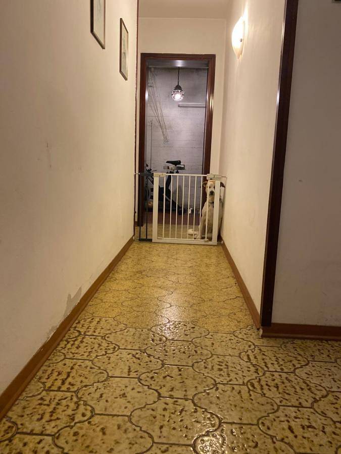 B&b per 2 persone, con Terrazza e Giardino nonché Panorama a Castelfranco Veneto