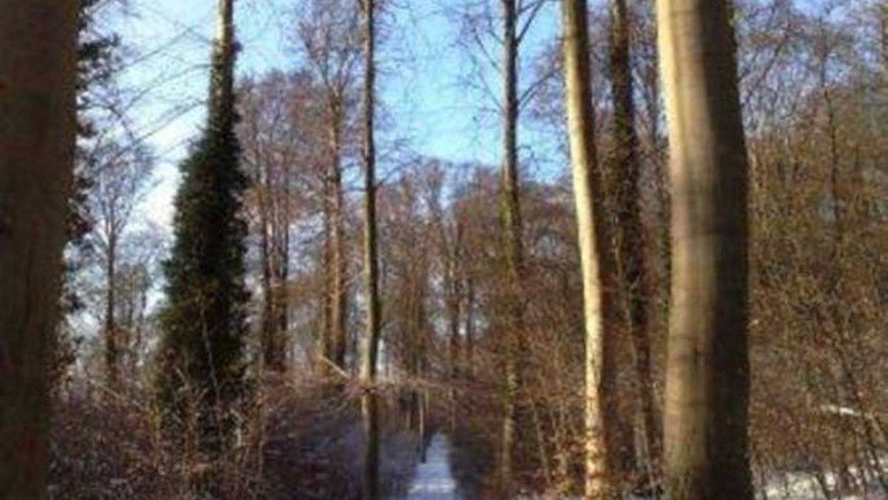 Ferienwohnung in Usedom ab 176€ pro Nacht