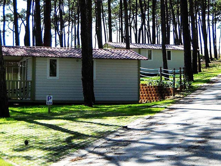 Camping Valado - Bungalow 2 personen - Atlantico in Nazaré, Leiria District
