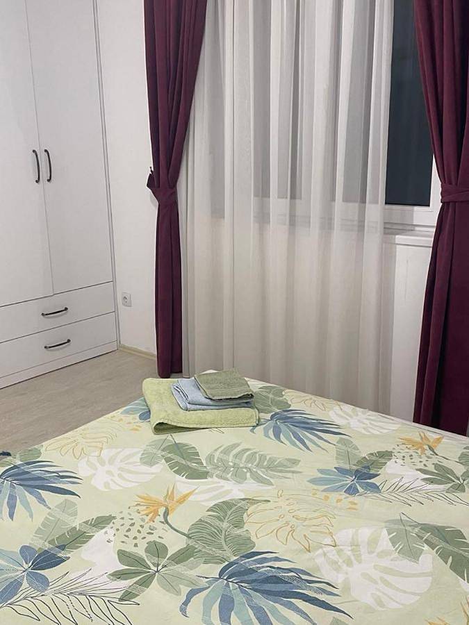 Gîte pour 4 personnes, avec terrasse et jardin, animaux acceptés à Vršac - 2