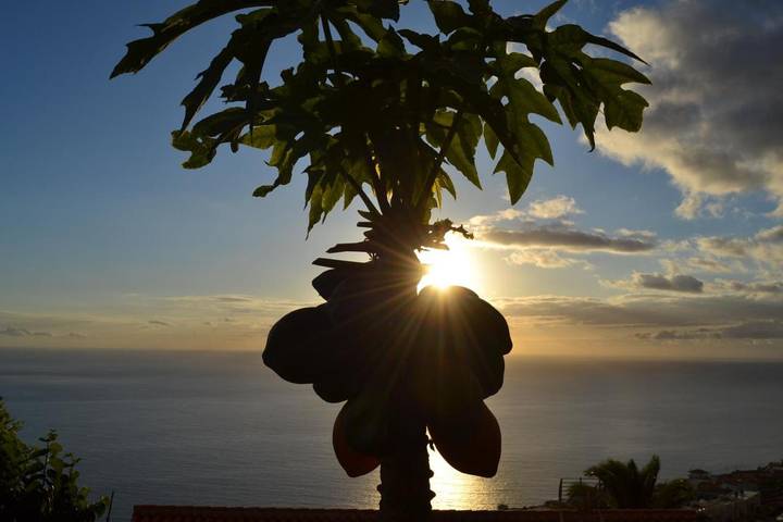 Ferienwohnung für 2 Personen, mit Garten und Ausblick auf La Palma - 4