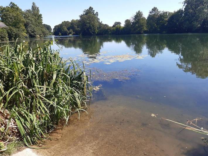 Gîte pour 3 personnes, animaux acceptés dans Bazouges Cré sur Loir - 4
