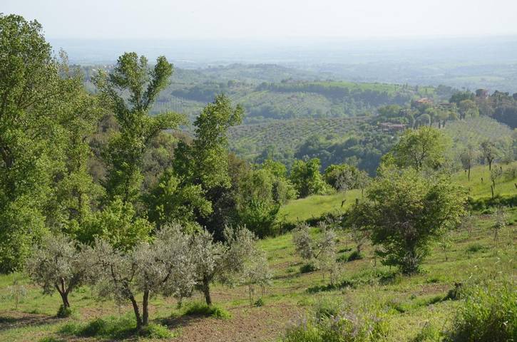Location de vacances pour 7 personnes, avec terrasse ainsi que vue et jardin, animaux acceptés à Poggio Mirteto - 3