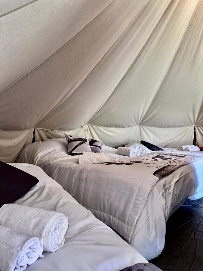 Location de vacances pour 6 personnes, avec piscine ainsi que jardin et bassin pour enfant à Brassac (Tarn) - 3