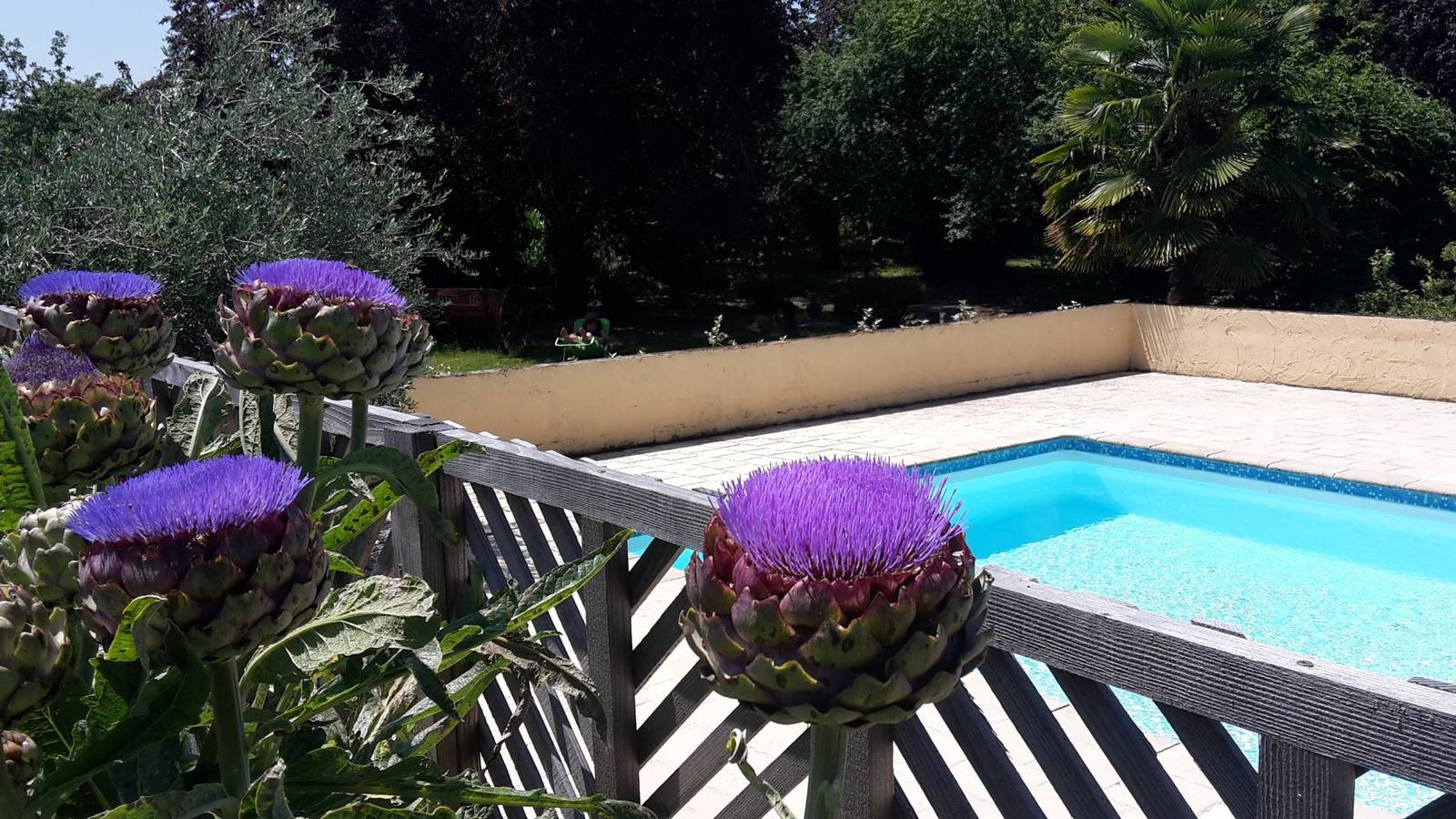 Gite avec Piscine - Sud de France - Gers in Auriébat, Hautes-Pyrénées