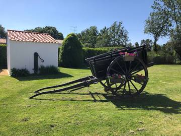 Gîte pour 2 Personnes dans Commequiers, Vendée, Photo 4