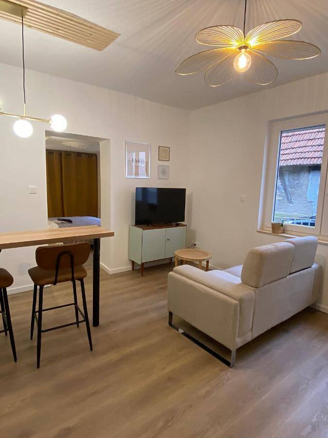 Appartement entier, One-Bedroom Apartment in Soufflenheim, Nord de l'Alsace