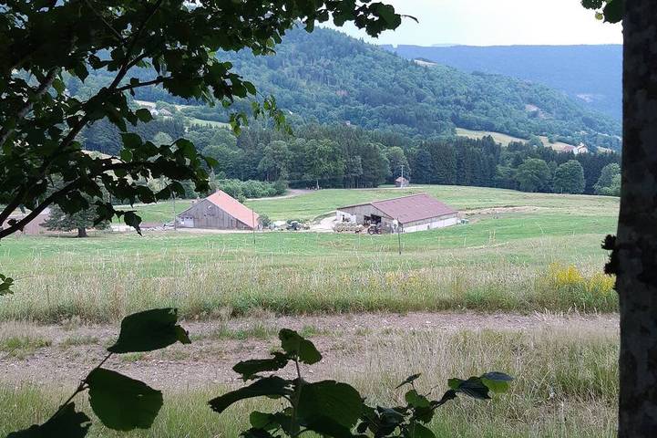 Location de vacances pour 2 personnes, avec terrasse et jardin à Saulxures-sur-Moselotte