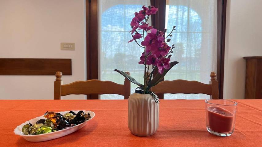 Location de vacances pour 6 personnes, avec jardin ainsi que terrasse et vue, animaux acceptés à Vivaro - 3