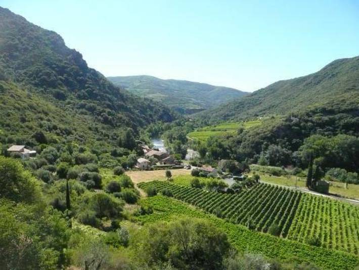 Gîte pour 4 personnes, avec terrasse, animaux acceptés dans l' Hérault - 2