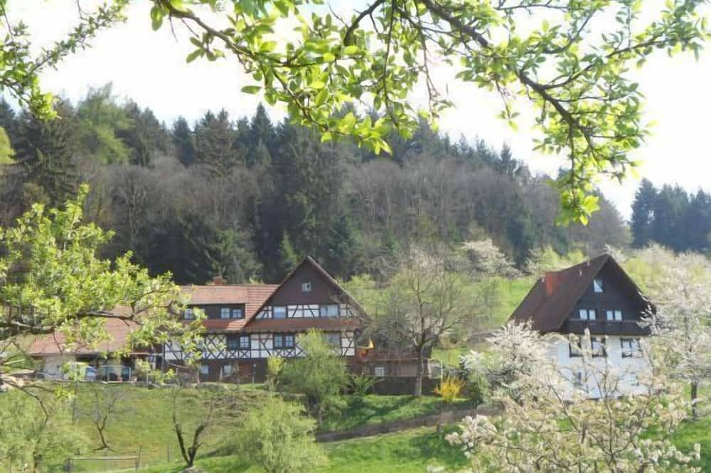 Ganze Wohnung, Ferienwohnung Apfelblüte , 50qm, 1 Schlafzimmer, max. 4 Personen in Seebach (Ortenaukreis), Mittlerer Schwarzwald