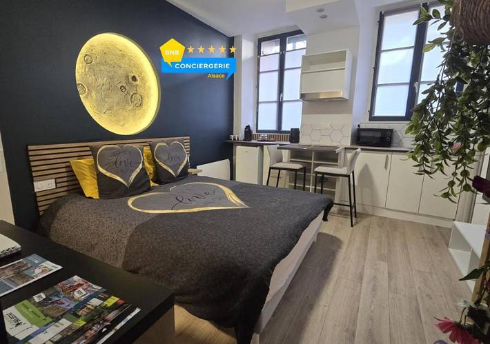 Gîte pour 2 personnes, avec jacuzzi, animaux acceptés dans Office de Tourisme de Sélestat