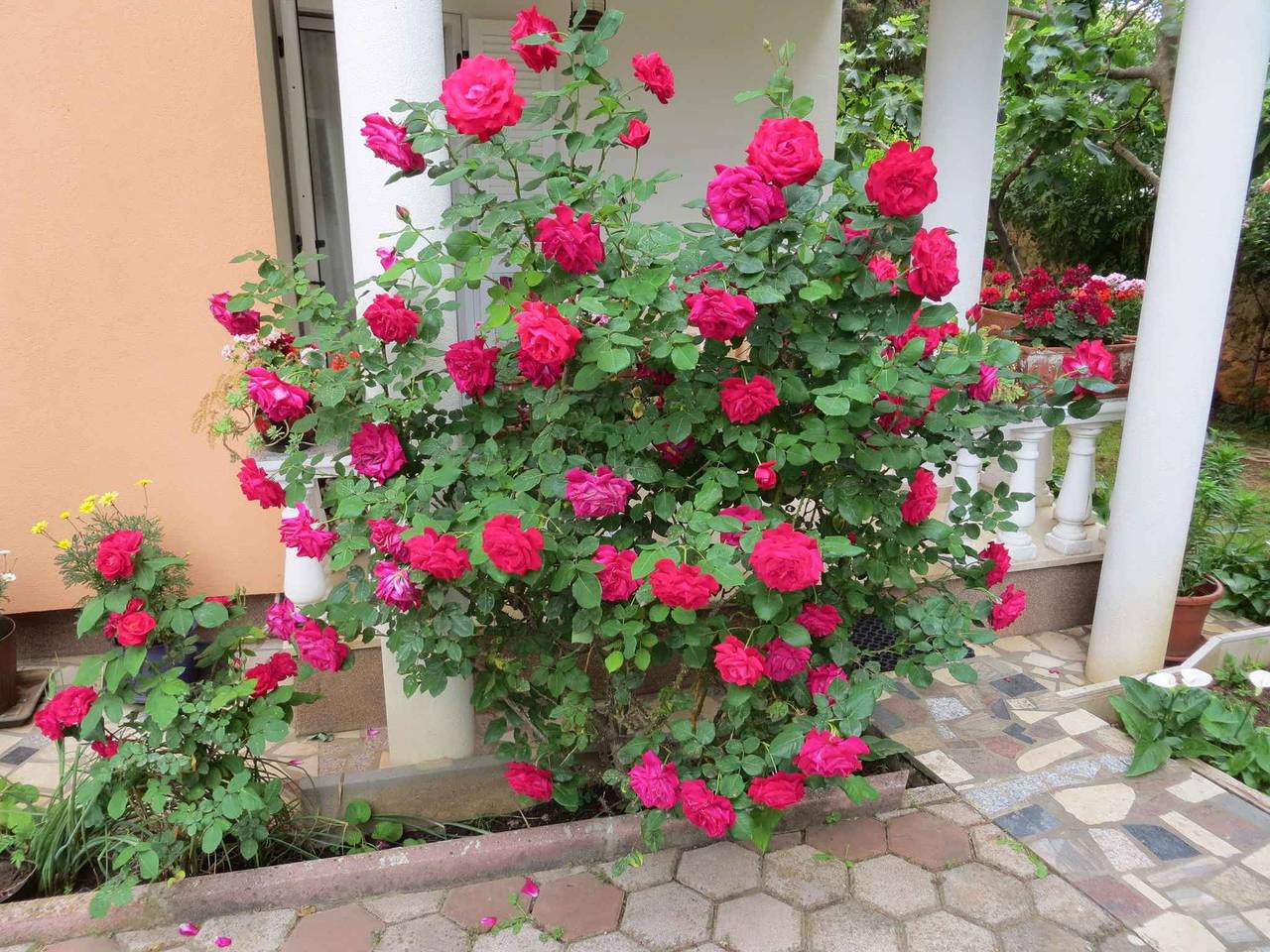 Ganzes Studio, Studio mit Balkon und Kochnische in Premantura, Südküste Istrien