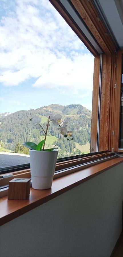 Ferienwohnung für 5 Personen, mit Terrasse und Ausblick in Fontanella - 2