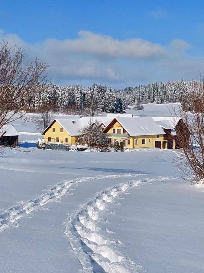 Ganze Wohnung, Ferienwohnung Waldhäusl in Groß Gerungs, Bezirk Zwettl