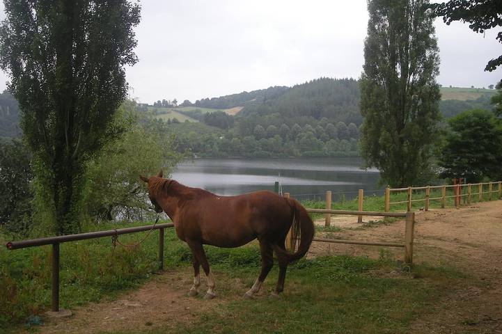 Chalet pour 4 personnes, avec jardin dans le Tarn - 4