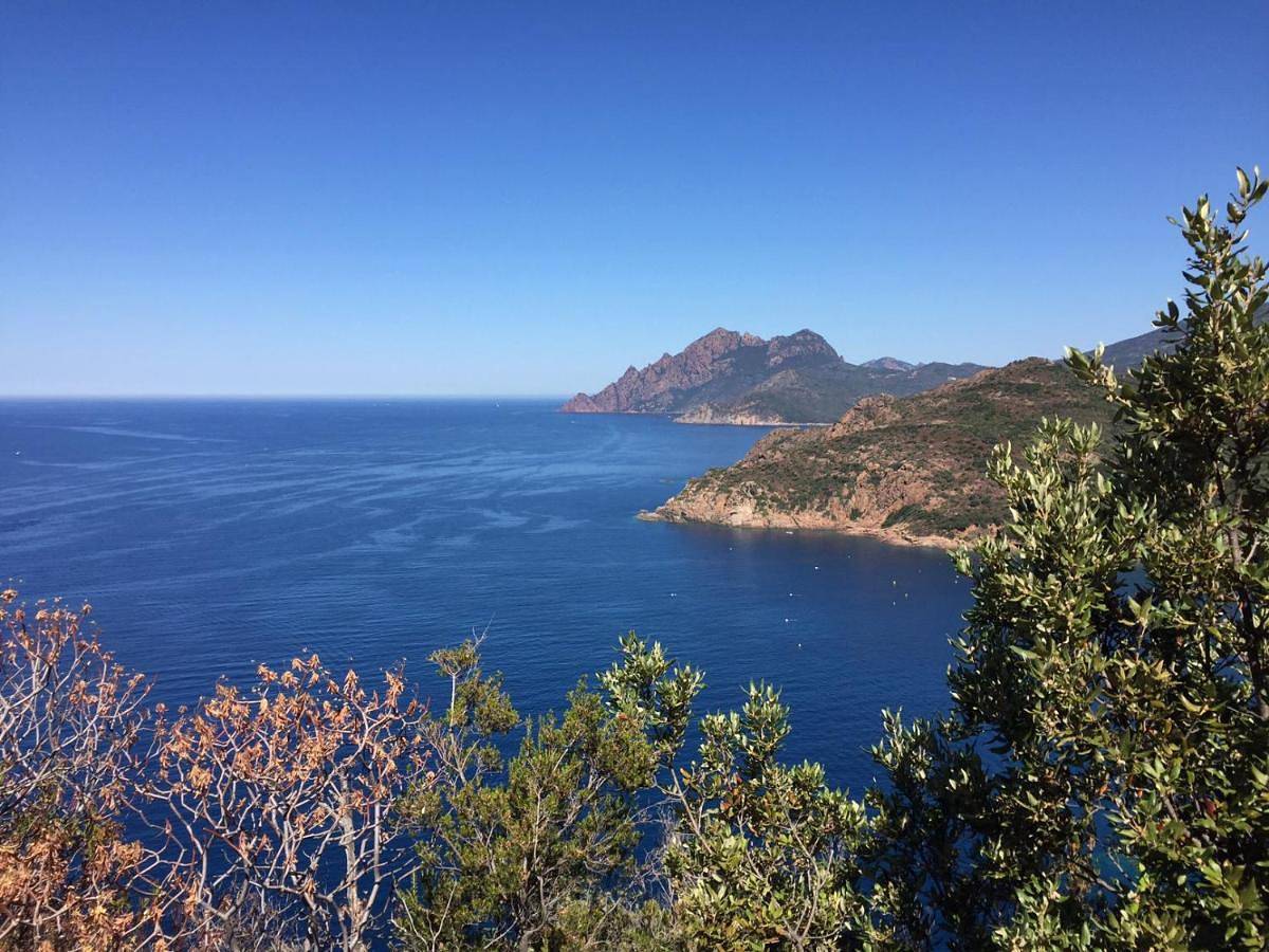 Quadruple Room in Serriera, Parc naturel régional de Corse