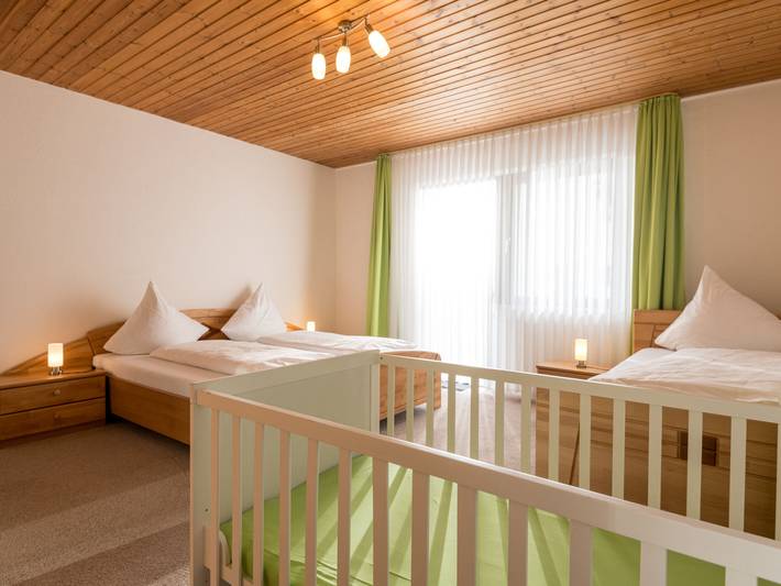 Ganze Wohnung, Eifelnatur (Haus 2) in Immerath, Vulkaneifel