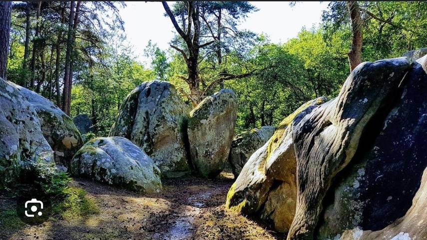 Gîte pour 4 personnes, avec terrasse et jardin à Grez-sur-Loing - 3