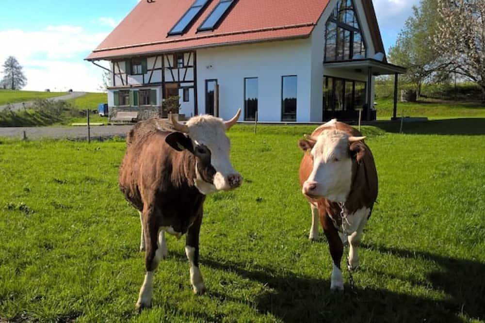 Ganze Wohnung, Fachwerk im Allgäu mit Bergblick in Alleinlage, gr. Garten & Sauna, Bodensee in Bad Wurzach, Region Bodensee-Oberschwaben