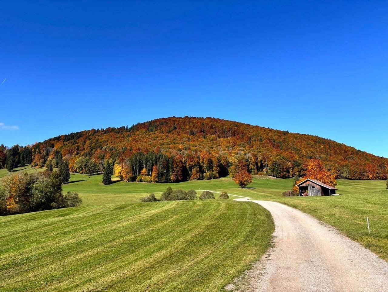 Ganze Ferienwohnung, Panoramahof Breher - Ferienwohnung Panoramahof Breher F**** in Hopferau, Bayerisch Schwaben