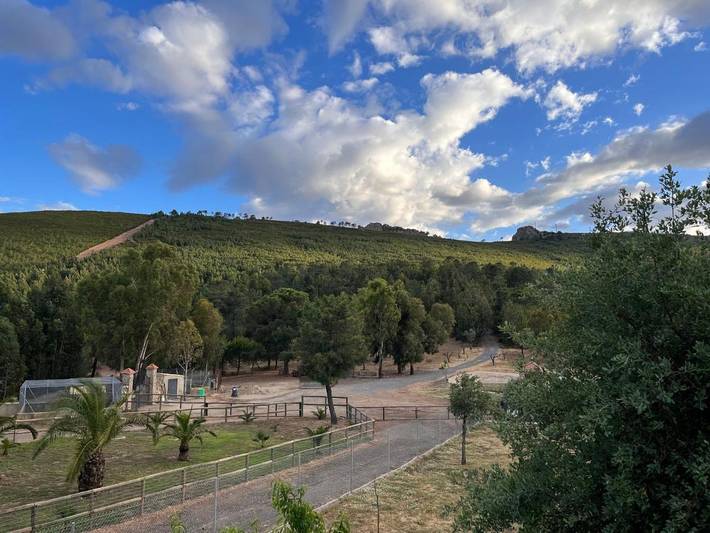 Apartamento de vacaciones para 4 personas, con jardín además de piscina y vistas en Monfragüe - 3