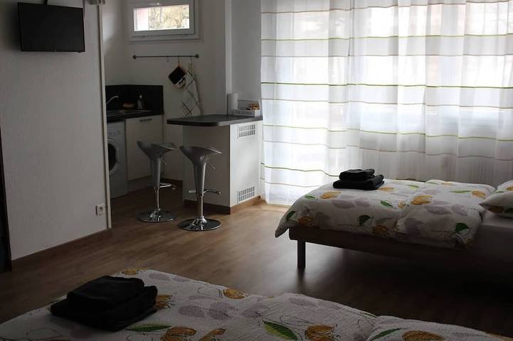 Appartement entier, Studio near Basel Airport in Saint-Louis, Région de Mulhouse