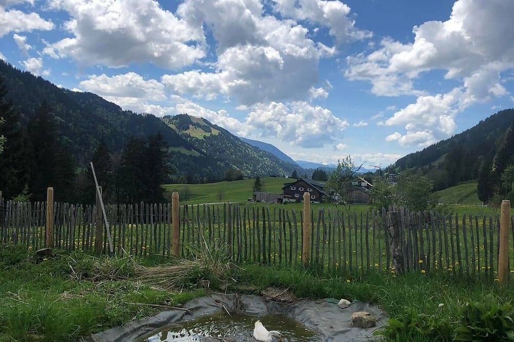 Geheel appartement, Vacation apartment 2 - Alte Schmiede in Balderschwang, Zwaben (Bayern)