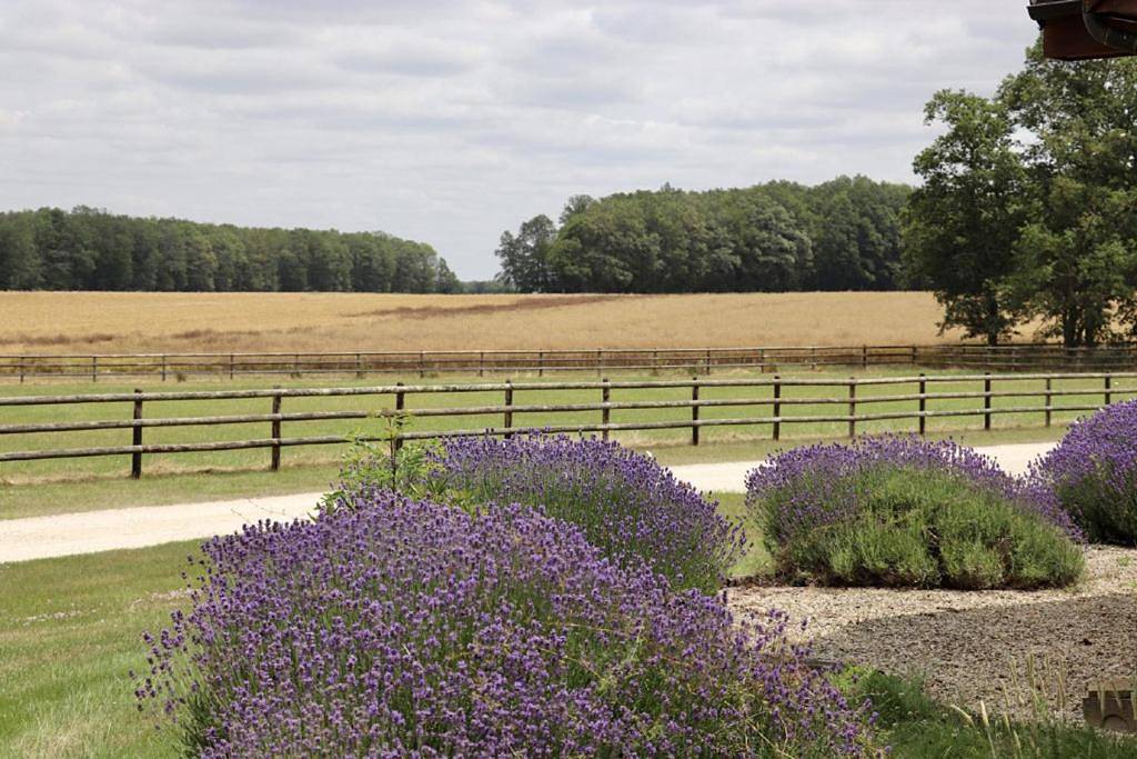 Pods & tonneaux du Haras d'Oakland in Le Mesnil-Thomas, Région de Dreux