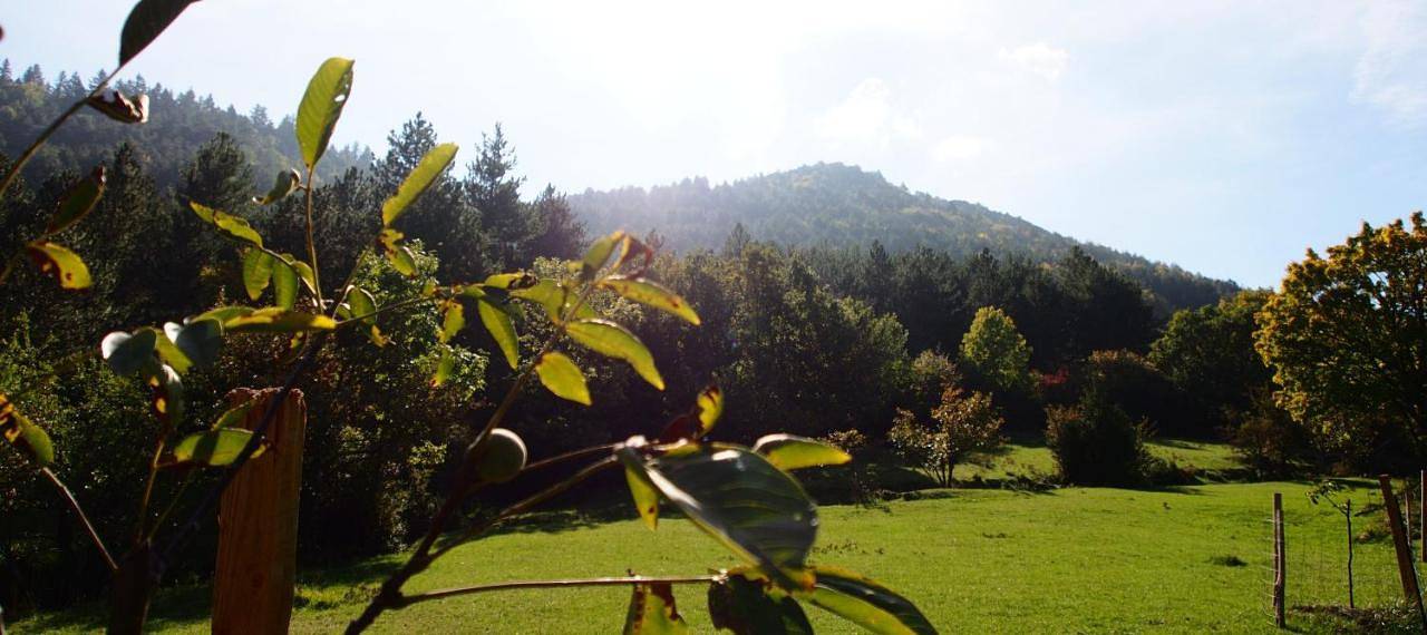 La Mouline in Pourchères, Parc naturel régional des Monts d'Ardèche