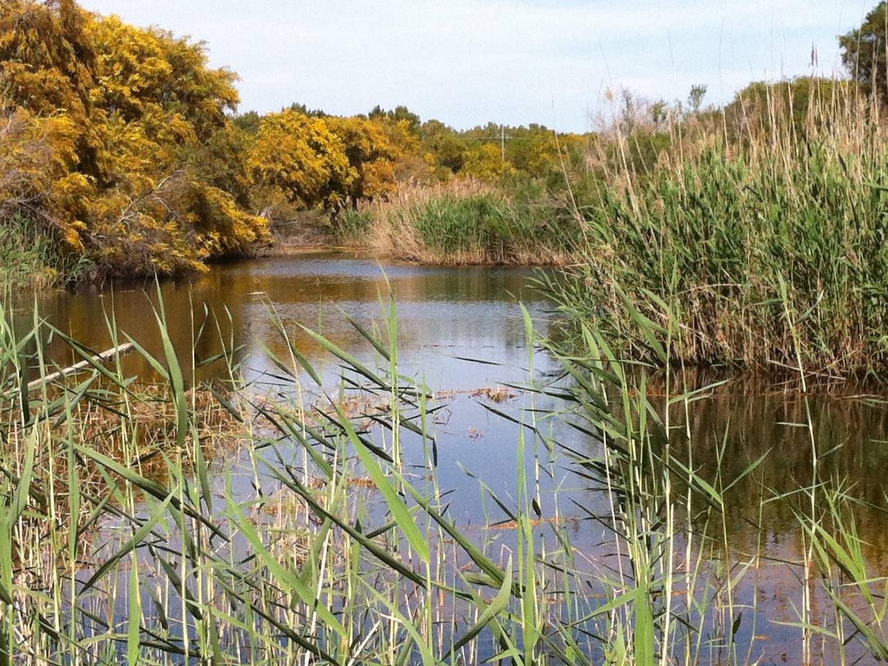 Appartamento intero, Steinhaus mit Panoramadachterrasse in Scicli, Provincia di Ragusa